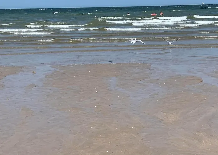 Jolie Maison Proche Des Commerces Et De La Plage